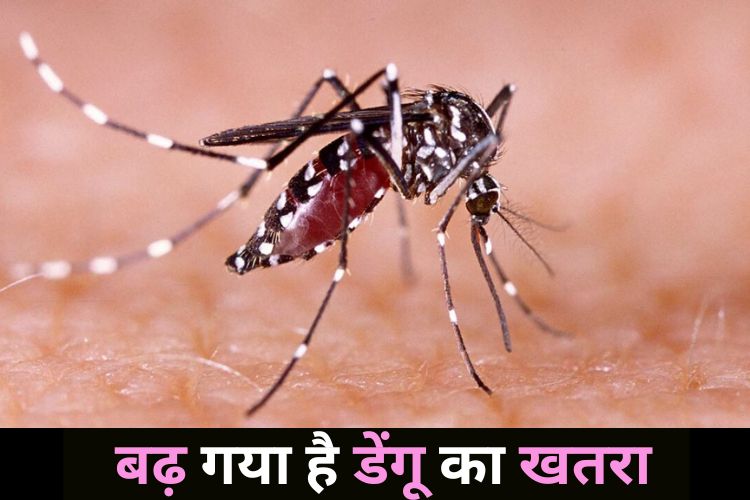 सर्दियों में ज्यादा होता है डेंगू का खतरा, सामने आए नए मामले